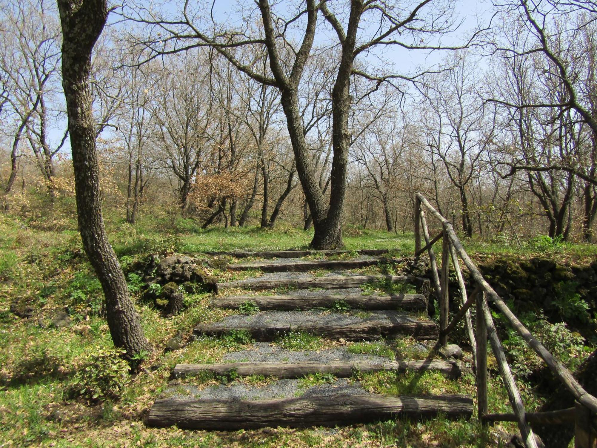 Boscoscuro Villa Ragalna Buitenkant foto