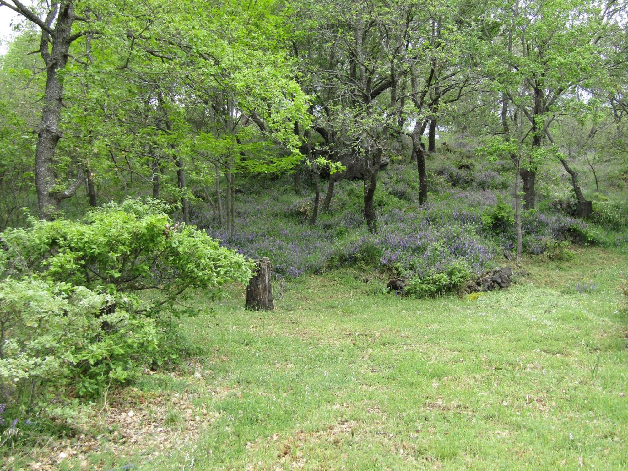 Boscoscuro Villa Ragalna Buitenkant foto
