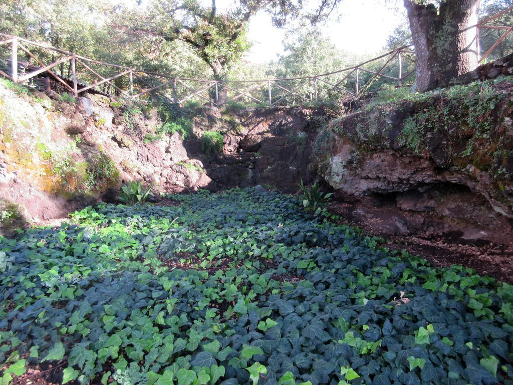 Boscoscuro Villa Ragalna Buitenkant foto