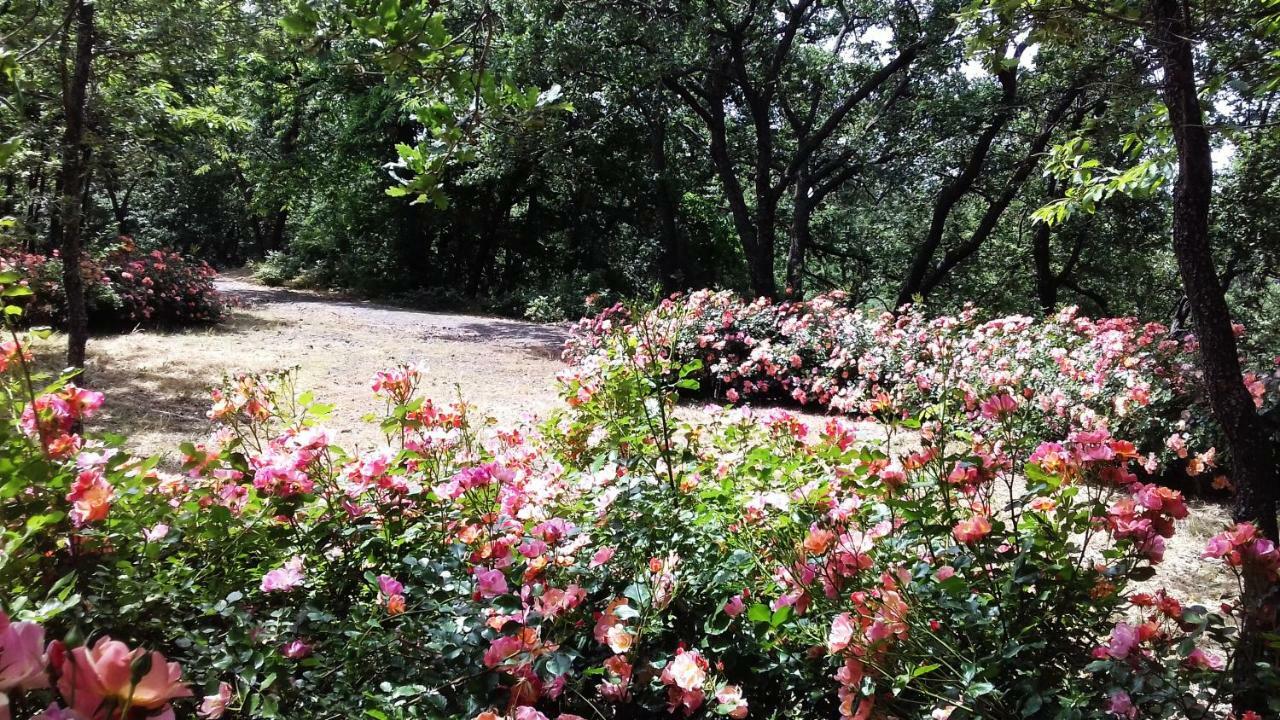 Boscoscuro Villa Ragalna Buitenkant foto